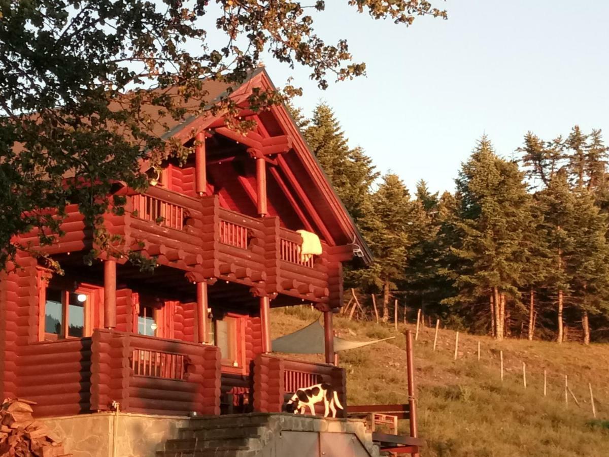 Katafygio Chalet, Krikello Kríkellon Esterno foto